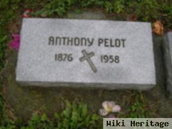 Anthony Pelot