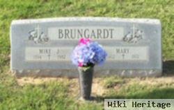 Michael J. Brungardt