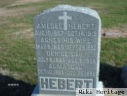 Amedee Hebert