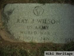 Ray J. Wilson