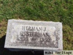 Herman Hesterman