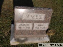 Garnett Mccann Ames