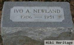 Ivo Arnold Newland