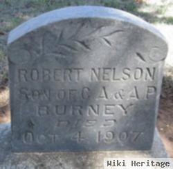 Robert Nelson Burney