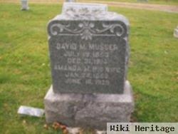 David M Musser