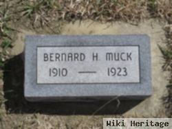 Bernard Harvey Muck