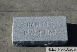 Hallett Stone