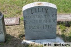 Lillian "lilly" Shinevare Bushroe