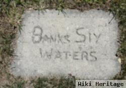 Susannah Banks Sly Waters