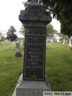 Eliza Potter Wildish