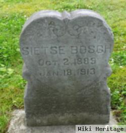 Sietse Bosch