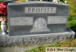 Sarah Holbrook Profitt