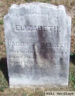 Elizabeth Landes Ziegler