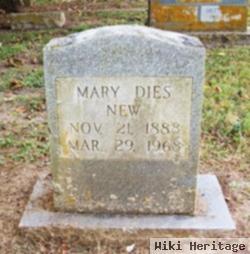 Mary Terese Dies New