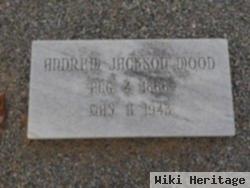 Andrew Jackson Wood