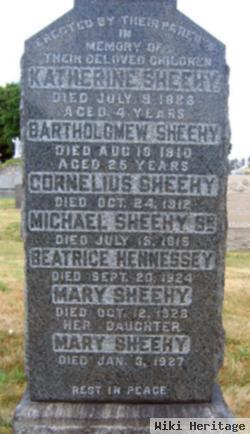 Cornelius Sheehy