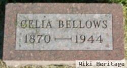 Celia Bellows