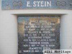 Eluce Stein