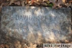 David Spivey