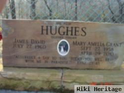 James David Hughes