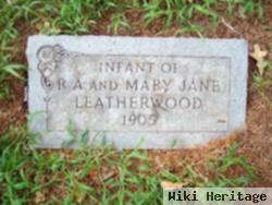 Infant Leatherwood