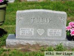 Otto J. Tulip