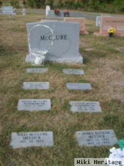 Dr Joe Stuart Mcclure