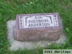 Theodore Anderson