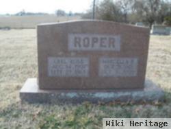 Carl Robb Roper