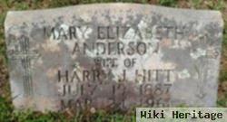 Mary Elizabeth Anderson Hitt