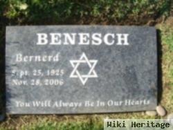 Bernerd Benesch