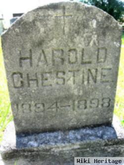 Harold Chestine