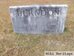 Mary Catherine Rayborn Herndon