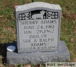 Sherry Adams