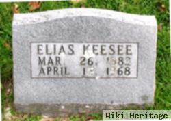 Elias Roy Keesee