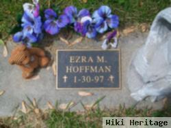 Ezra M Hoffman