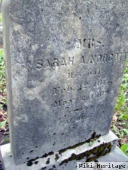 Sarah Ann Thomas Sanders