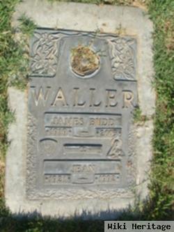 Jean Waller