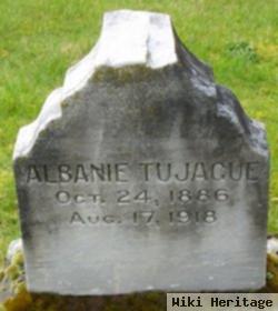 Albanie Tujacue