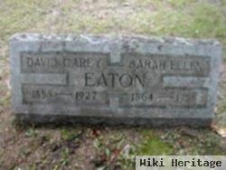 David Carey Eaton