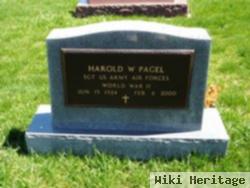 Harold W Pagel