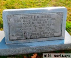 Francis E B Triebel