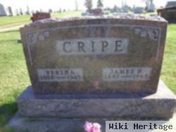 Bertha A. Loy Cripe