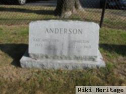 Hamilton Anderson