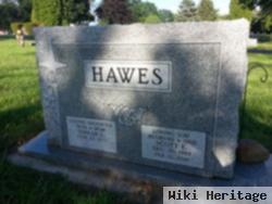 Scott Edward Hawes