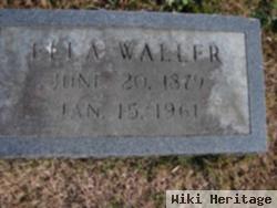 Mary Ella Goolsby Waller