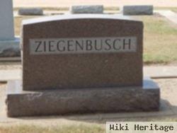 Henry H Ziegenbusch