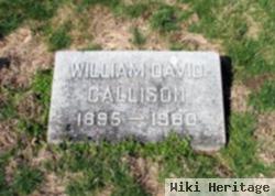 William David Callison