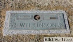 Agnes Inez Workman Wilkinson