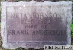 Neta Johnson Anderson